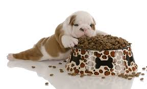 pup